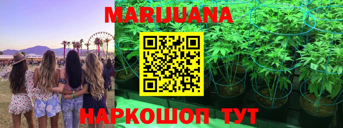 Каннабис сатива  Вход с VPN  Каннабис LSD WEED  Бошки Шишки сатива  Ревда 